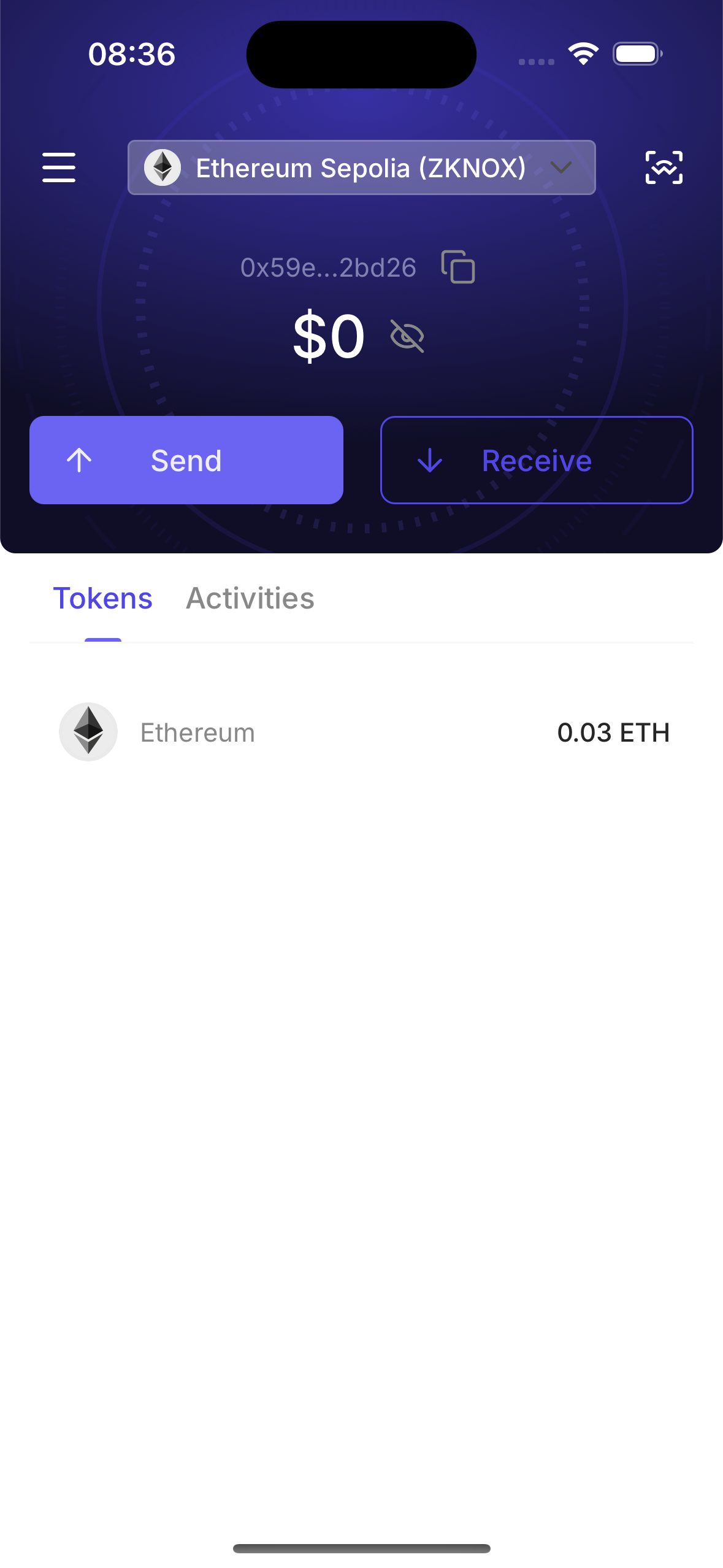 Wallet home with Ethereum Sepolia (ZKNOX) selected